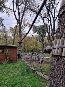 Orczy Adventure Park