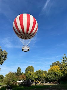 BalloonFly BalloonFly